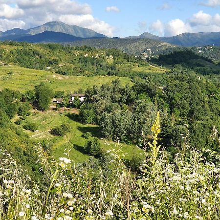 Agriturismo Il Burlino Apartments Lerma Exteriör bild