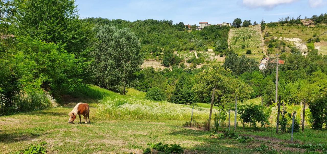 Agriturismo Il Burlino Apartments Lerma Exteriör bild