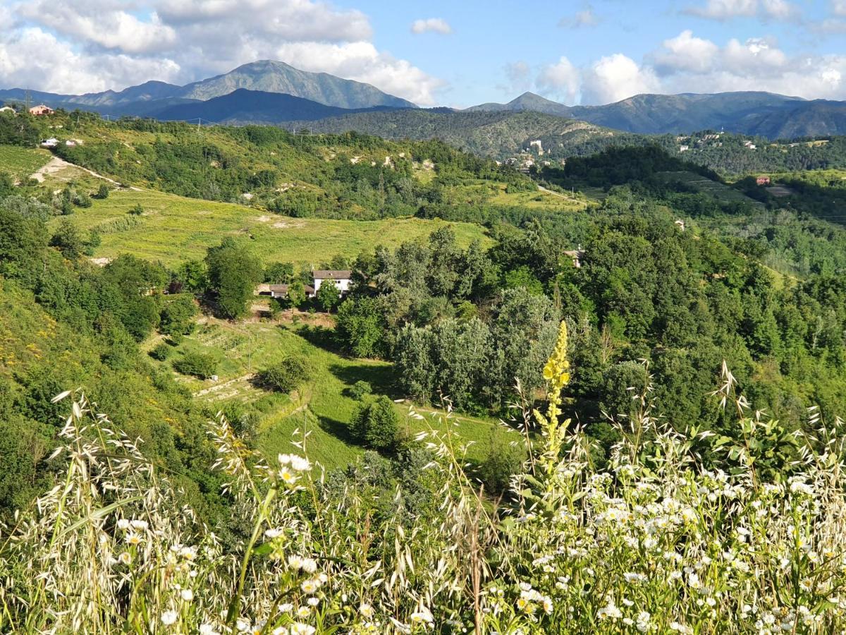 Agriturismo Il Burlino Apartments Lerma Exteriör bild